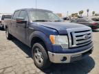 FORD - F-150