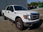 FORD - F-150