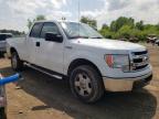 FORD - F150