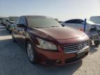 NISSAN - MAXIMA