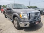 FORD - F-150