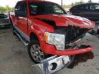 FORD - F-150