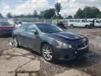 NISSAN - MAXIMA