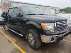FORD - F-150