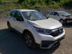 HONDA - CRV