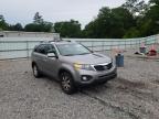 KIA - SORENTO