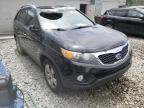 KIA - SORENTO