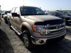 FORD - F-150