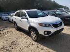 KIA - SORENTO