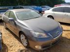 LEXUS - ES350