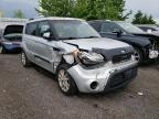 KIA - SOUL