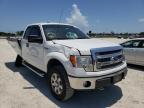 FORD - F-150