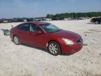 NISSAN - MAXIMA