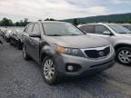 KIA - SORENTO