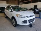 FORD - ESCAPE