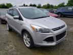 FORD - ESCAPE