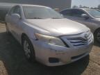 TOYOTA - CAMRY