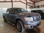 FORD - F-150