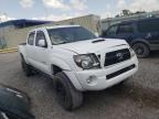 TOYOTA - TACOMA