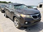 KIA - SORENTO