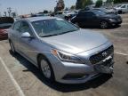 HYUNDAI - SONATA