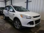 FORD - ESCAPE