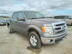 FORD - F-150