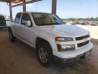 CHEVROLET - COLORADO