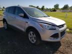 FORD - ESCAPE