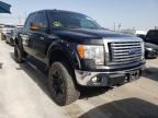 FORD - F-150