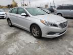 HYUNDAI - SONATA