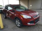 FORD - ESCAPE