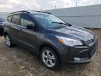 FORD - ESCAPE