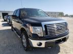 FORD - F-150