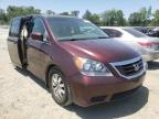 HONDA - ODYSSEY