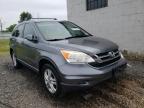 HONDA - CRV