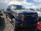 FORD - F-150