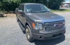 FORD - F-150