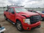 FORD - F-150