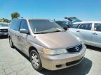 HONDA - ODYSSEY