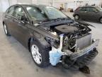 FORD - FUSION