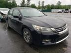 HONDA - ACCORD