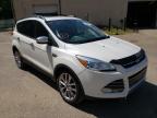 FORD - ESCAPE