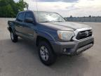 TOYOTA - TACOMA