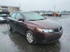 KIA - FORTE