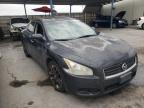 NISSAN - MAXIMA