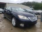 LEXUS - ES350