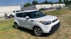 KIA - SOUL