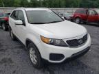 KIA - SORENTO