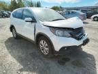 HONDA - CRV